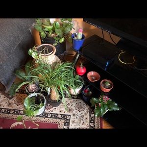 Meet your Posher, Ahmad